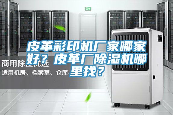 皮革彩印機廠家哪家好？皮革廠除濕機哪里找？