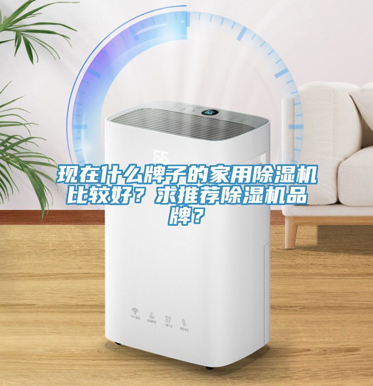 現(xiàn)在什么牌子的家用除濕機(jī)比較好？求推薦除濕機(jī)品牌？