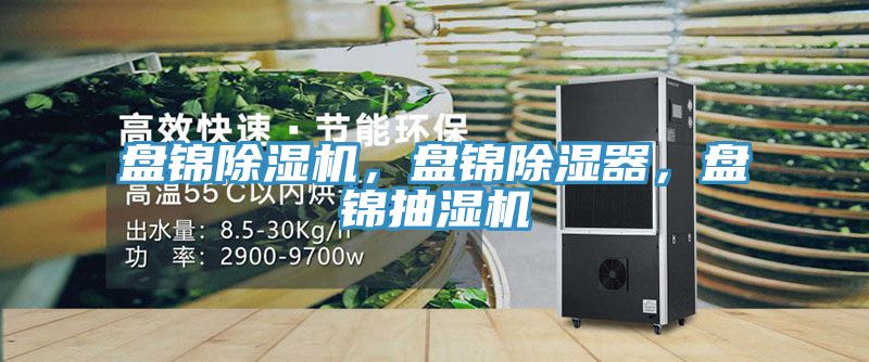 盤錦除濕機(jī)，盤錦除濕器，盤錦抽濕機(jī)