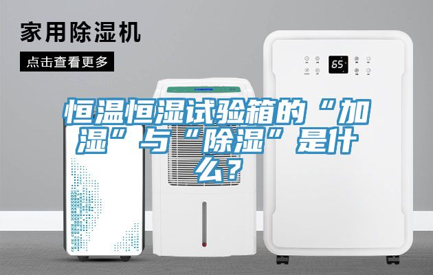 恒溫恒濕試驗箱的“加濕”與“除濕”是什么？