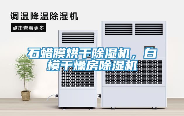 石蠟?zāi)ず娓沙凉駲C(jī)，白模干燥房除濕機(jī)