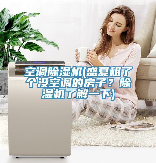 空調(diào)除濕機(jī)(盛夏租了個(gè)沒(méi)空調(diào)的房子？除濕機(jī)了解一下)