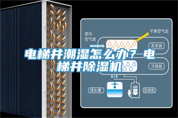 電梯井潮濕怎么辦？電梯井除濕機(jī)
