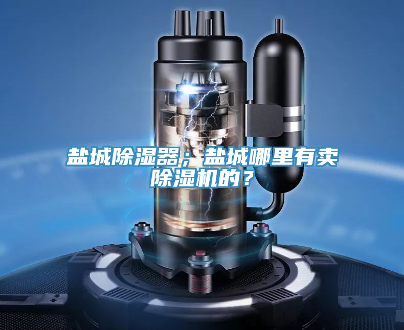鹽城除濕器；鹽城哪里有賣除濕機(jī)的？
