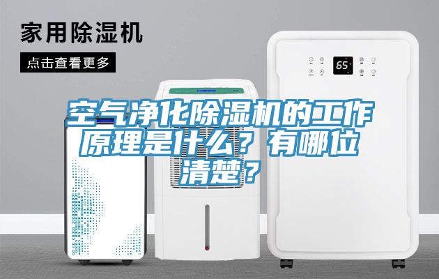 空氣凈化除濕機(jī)的工作原理是什么？有哪位清楚？