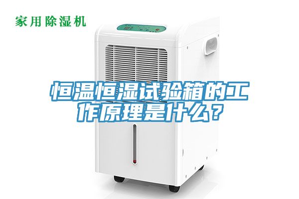 恒溫恒濕試驗箱的工作原理是什么？