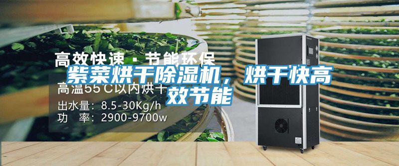 紫菜烘干除濕機(jī)，烘干快高效節(jié)能