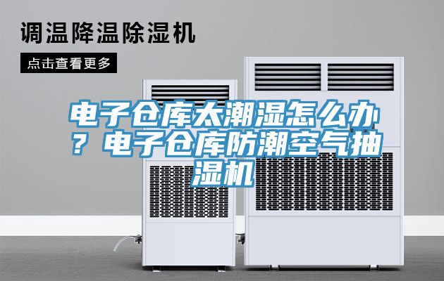 電子倉(cāng)庫(kù)太潮濕怎么辦？電子倉(cāng)庫(kù)防潮空氣抽濕機(jī)