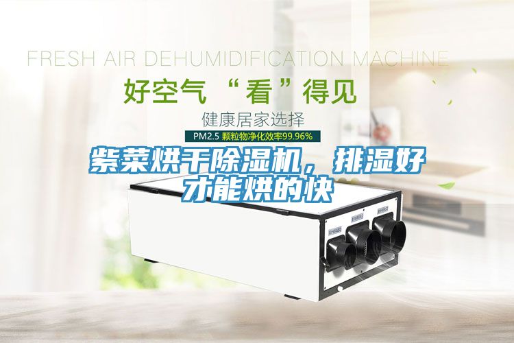 紫菜烘干除濕機(jī)，排濕好才能烘的快