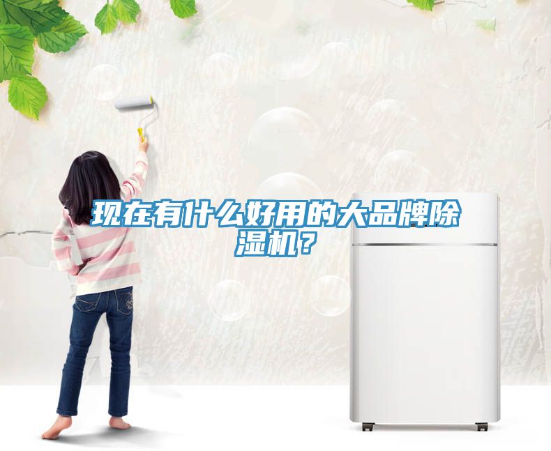 現(xiàn)在有什么好用的大品牌除濕機(jī)？