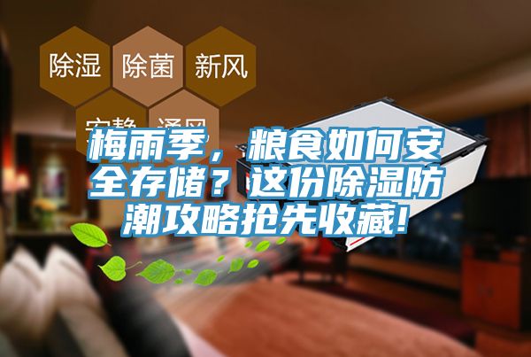 梅雨季，糧食如何安全存儲？這份除濕防潮攻略搶先收藏!