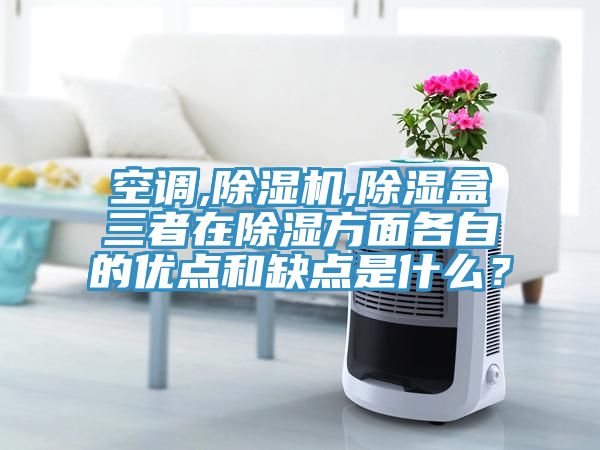 空調,除濕機,除濕盒三者在除濕方面各自的優(yōu)點和缺點是什么？