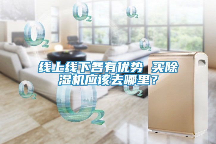 線上線下各有優(yōu)勢 買除濕機(jī)應(yīng)該去哪里？
