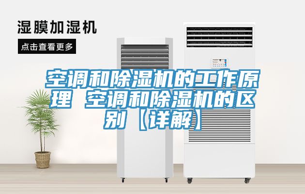空調(diào)和除濕機的工作原理 空調(diào)和除濕機的區(qū)別【詳解】