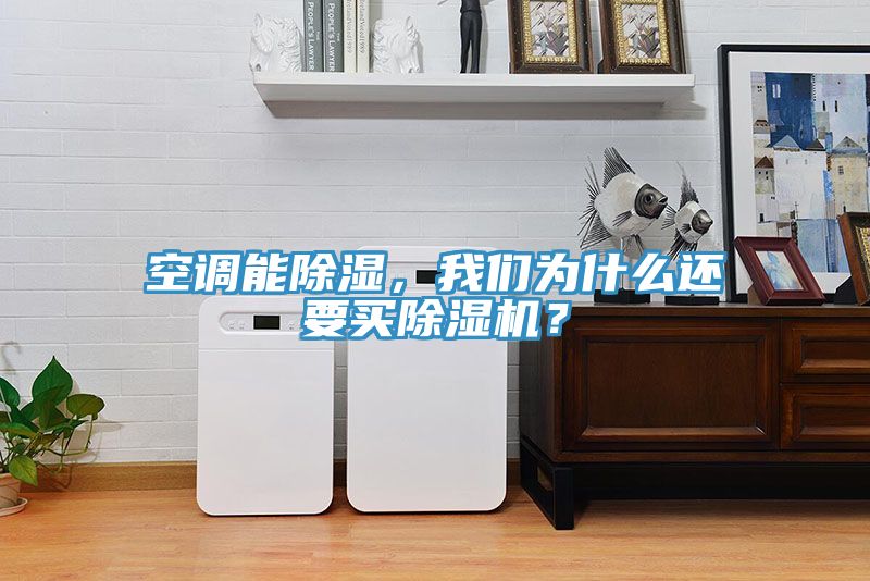 空調(diào)能除濕，我們?yōu)槭裁催€要買除濕機(jī)？