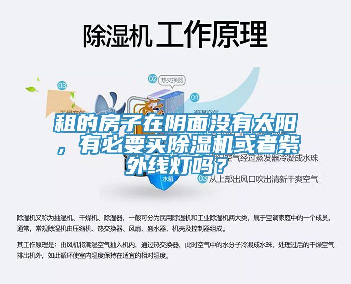 租的房子在陰面沒(méi)有太陽(yáng)，有必要買(mǎi)除濕機(jī)或者紫外線(xiàn)燈嗎？