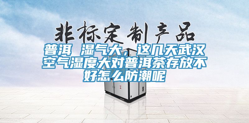 普洱 濕氣大，這幾天武漢空氣濕度大對普洱茶存放不好怎么防潮呢