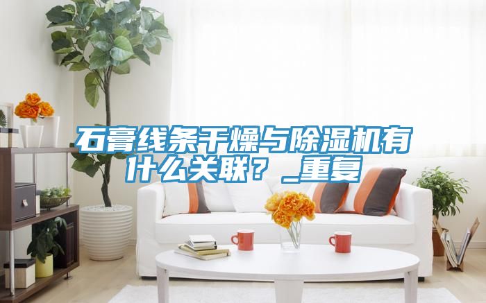 石膏線條干燥與除濕機(jī)有什么關(guān)聯(lián)？_重復(fù)