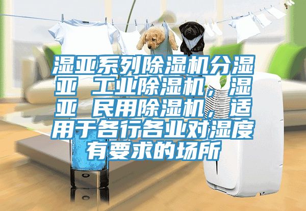 濕亞系列除濕機(jī)分濕亞 工業(yè)除濕機(jī)，濕亞 民用除濕機(jī)，適用于各行各業(yè)對濕度有要求的場所