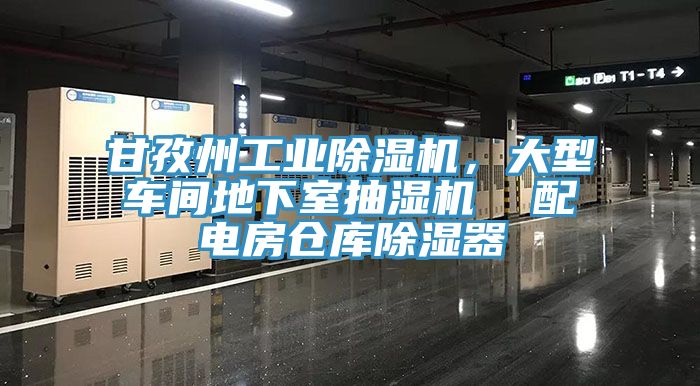 甘孜州工業(yè)除濕機(jī)，大型車間地下室抽濕機(jī)  配電房倉(cāng)庫(kù)除濕器