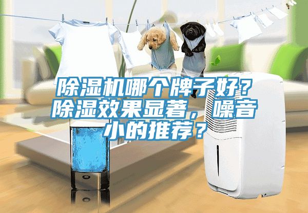 除濕機哪個牌子好？除濕效果顯著，噪音小的推薦？