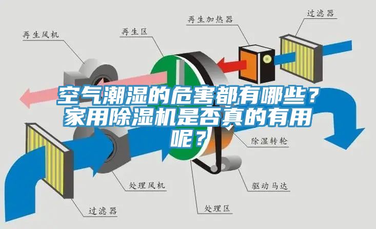 空氣潮濕的危害都有哪些？家用除濕機是否真的有用呢？