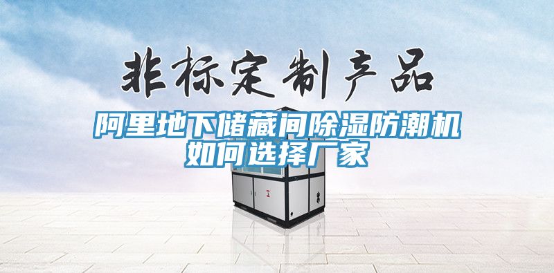 阿里地下儲(chǔ)藏間除濕防潮機(jī)如何選擇廠家