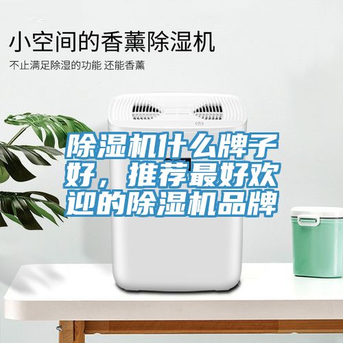 除濕機(jī)什么牌子好，推薦最好歡迎的除濕機(jī)品牌