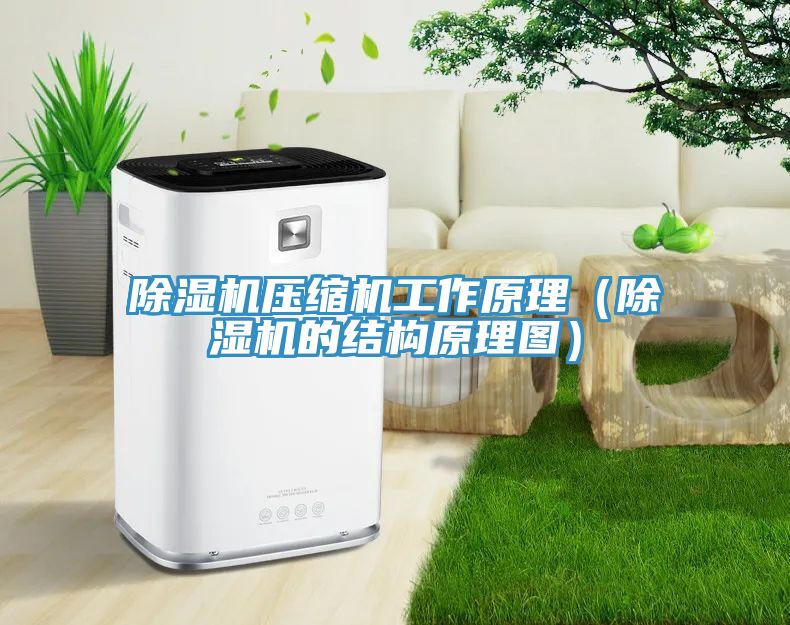 除濕機壓縮機工作原理（除濕機的結(jié)構(gòu)原理圖）