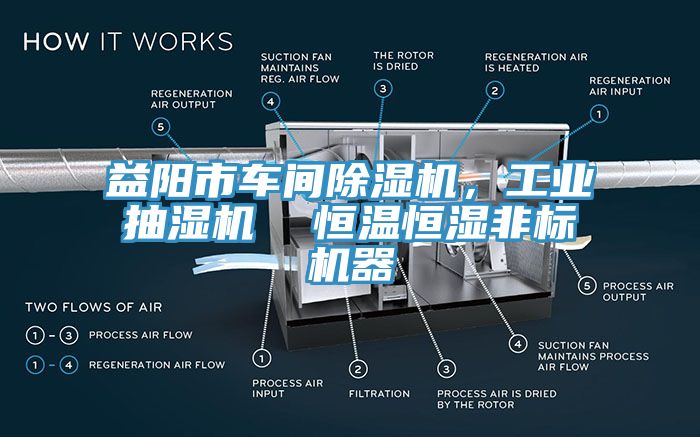 益陽市車間除濕機，工業(yè)抽濕機  恒溫恒濕非標(biāo)機器