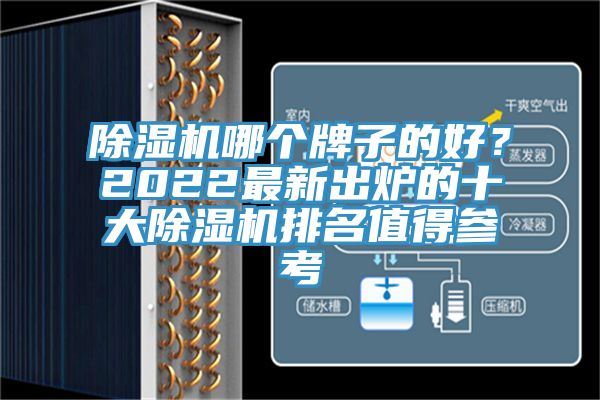 除濕機哪個牌子的好？2022最新出爐的十大除濕機排名值得參考