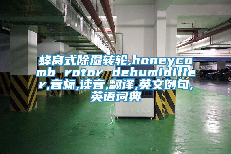 蜂窩式除濕轉(zhuǎn)輪,honeycomb rotor dehumidifier,音標(biāo),讀音,翻譯,英文例句,英語(yǔ)詞典