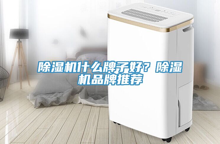 除濕機什么牌子好？除濕機品牌推薦