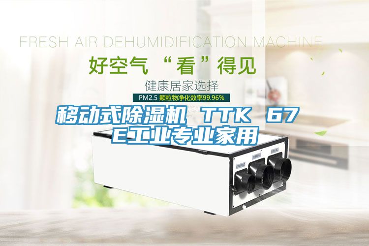 移動式除濕機 TTK 67 E工業(yè)專業(yè)家用