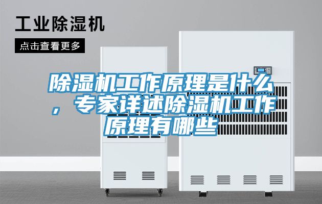 除濕機工作原理是什么，專家詳述除濕機工作原理有哪些