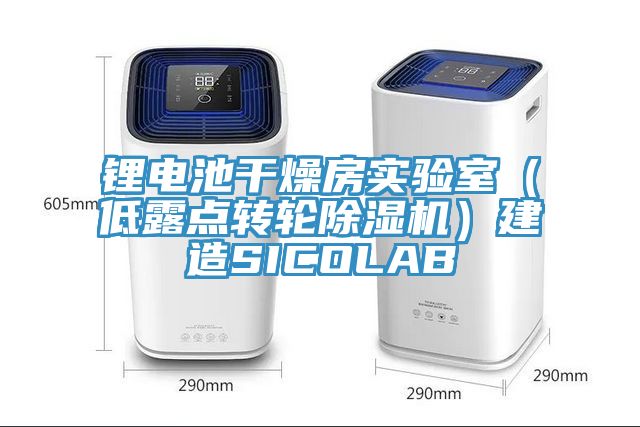 鋰電池干燥房實驗室（低露點轉(zhuǎn)輪除濕機）建造SICOLAB