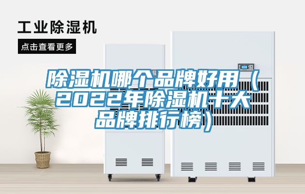 除濕機(jī)哪個品牌好用（2022年除濕機(jī)十大品牌排行榜）