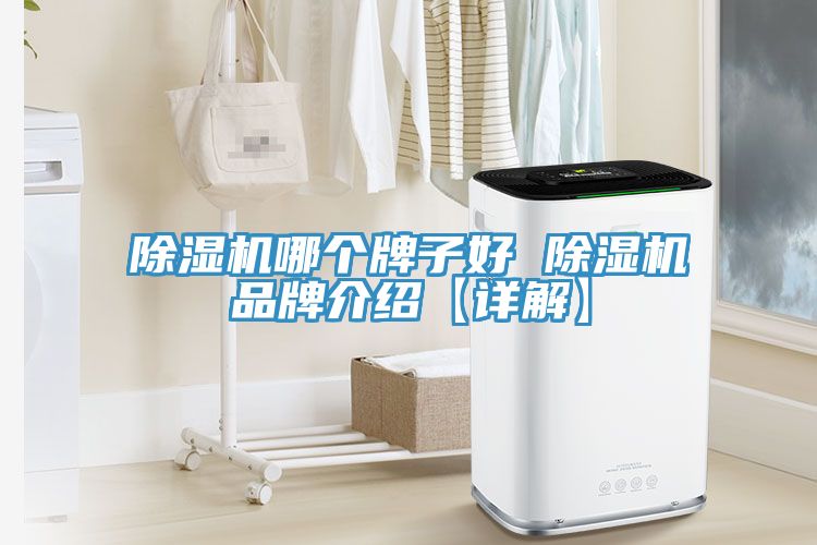 除濕機哪個牌子好 除濕機品牌介紹【詳解】