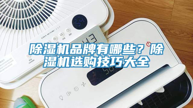 除濕機品牌有哪些？除濕機選購技巧大全