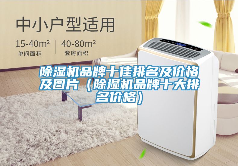 除濕機品牌十佳排名及價格及圖片（除濕機品牌十大排名價格）