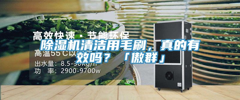 除濕機(jī)清潔用毛刷，真的有效嗎？「傲群」