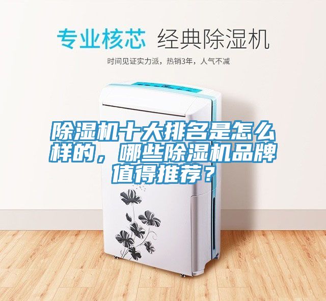 除濕機十大排名是怎么樣的，哪些除濕機品牌值得推薦？