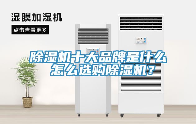 除濕機十大品牌是什么 怎么選購除濕機？