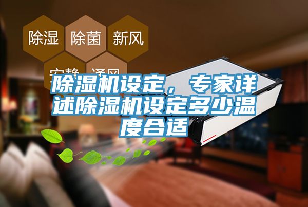 除濕機設(shè)定，專家詳述除濕機設(shè)定多少溫度合適